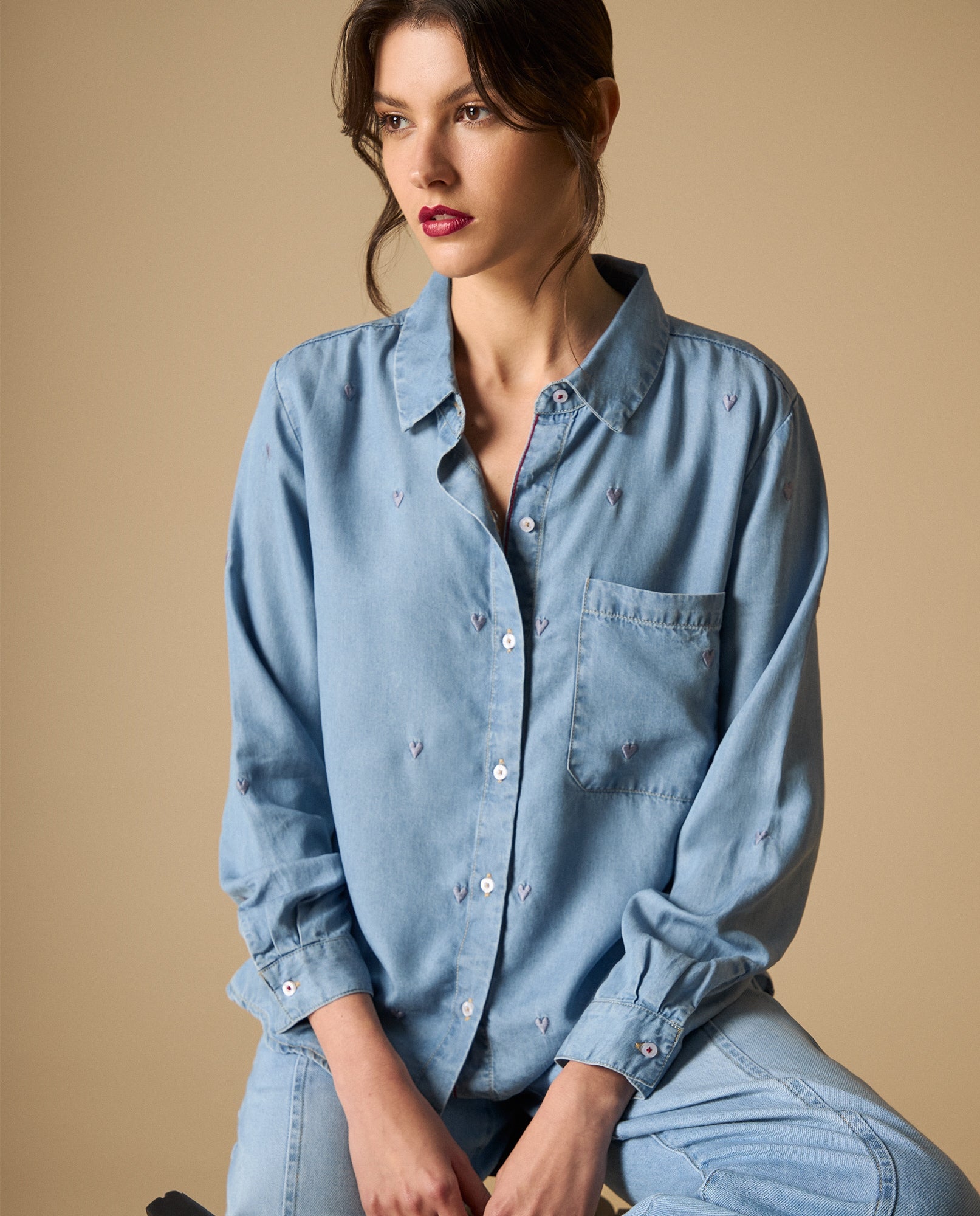 Camisa bordada manga larga cuello camisero - Azul 34_111H014_AZU134110_0