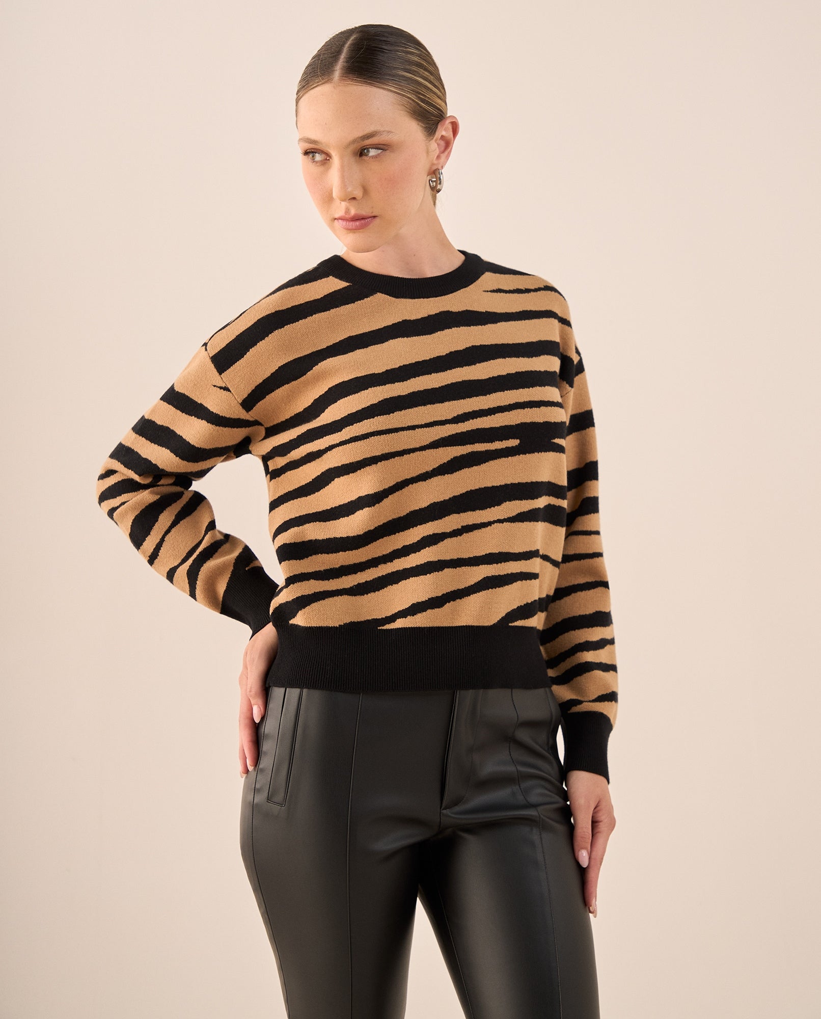 Suéter Tejido Estampado Leopardo Negro - Café 34_169G700_CAF171044_3