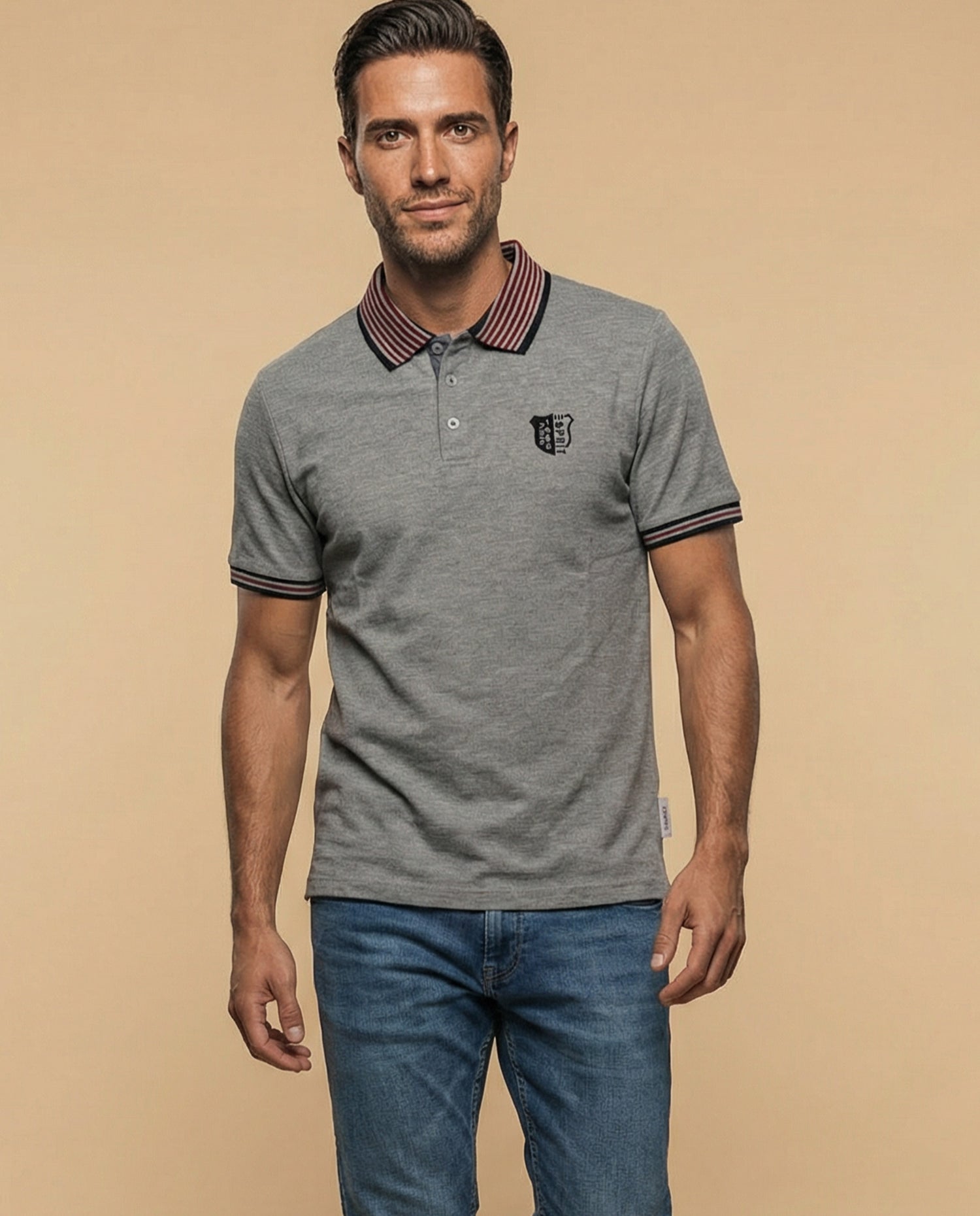 Polo regular logo bordado - Gris