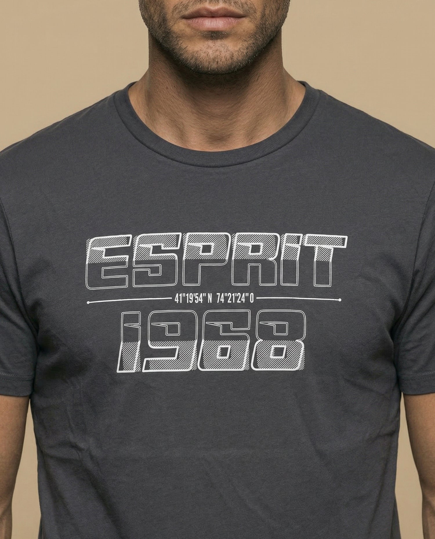 Camiseta con estampado gráfico en pecho - Gris